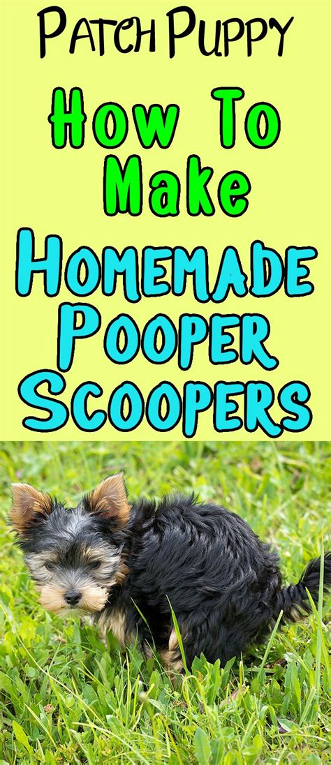 homemade pooper scooper